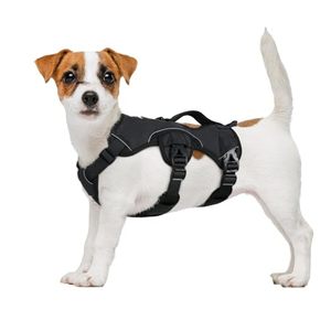 lot 37441 image: rabbitgoo Escape Proof Dog Harness, Soft Padded Full Body Pet Harness, Reflective Adjustable No Pull Vest with Lift Handle and Leash Clip for Dogs Walking Hiking Training, Size Small, Black