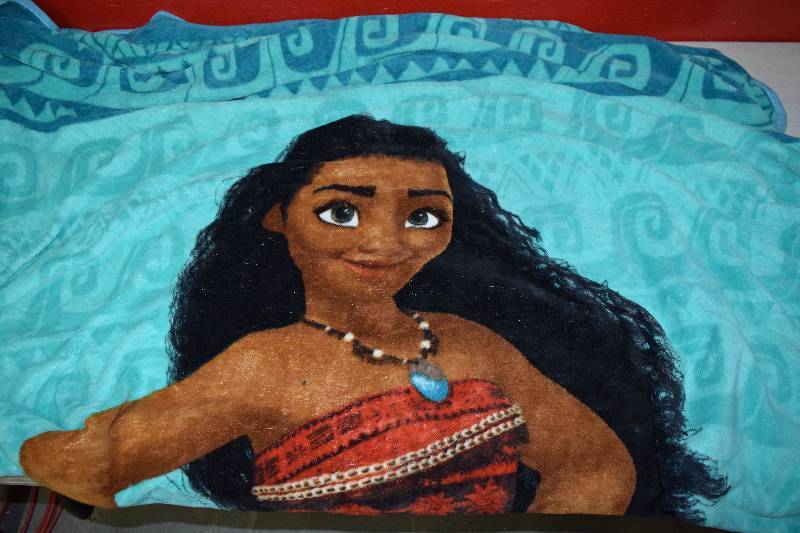 lot 298 image: Moana Plush Blanket