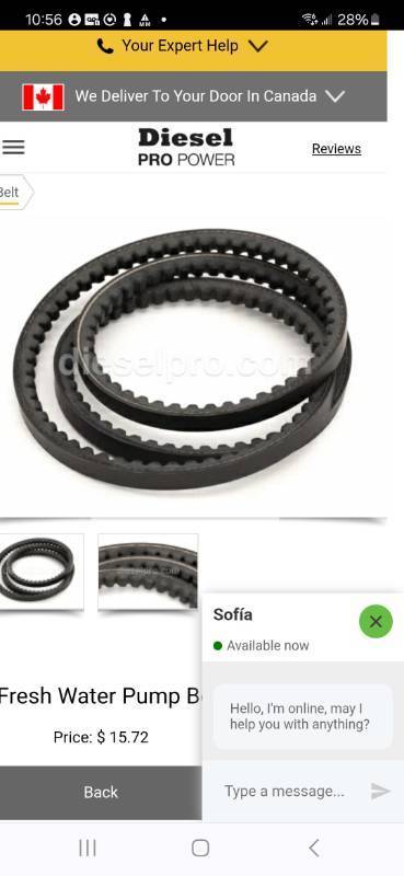 lot 1050 image: Water Pump Belt