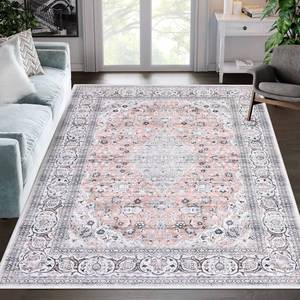lot 1610 image: RUGSREAL 6x9 Vintage Area Rug Machine Washable Throw Rug Non Slip Indoor Carpet Non-Shedding Indoor Accent Rugs Print Distressed Rug for Dining Room Office Home Decor, Pink, 6x9 Feet