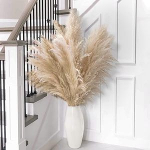 lot 1632 image: 10pcs 40 inch Pampas Grass for Floor Vase - Tall Pampas Grass Tall - Dried Pampas Grass Decor - Natural Beige Dried Pampas Grass Decor Tall - Pompas Floral Grass - Boho Decor - Dried Flower for Vase