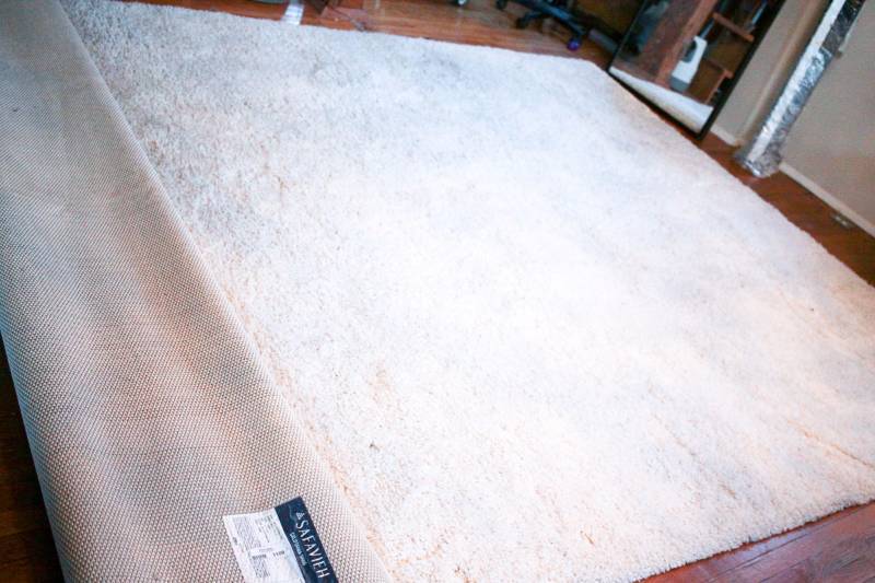 lot 3100 image: Safavieh California Shag Rug, 10x13