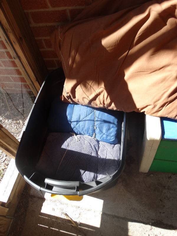 lot 451 image: 2 pillow & 2 sleeping bags wtote.