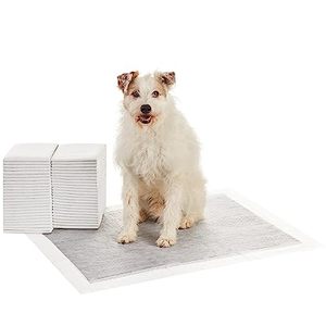 lot 4779 image: Amazon Basics Dog and Puppy Pee Pads with 5-Layer Leak-Proof Design and Quick-Dry Surface for Potty Training, Odor-Control Carbon, XL, 28 x 34 Inch - Pack of 50, Gray