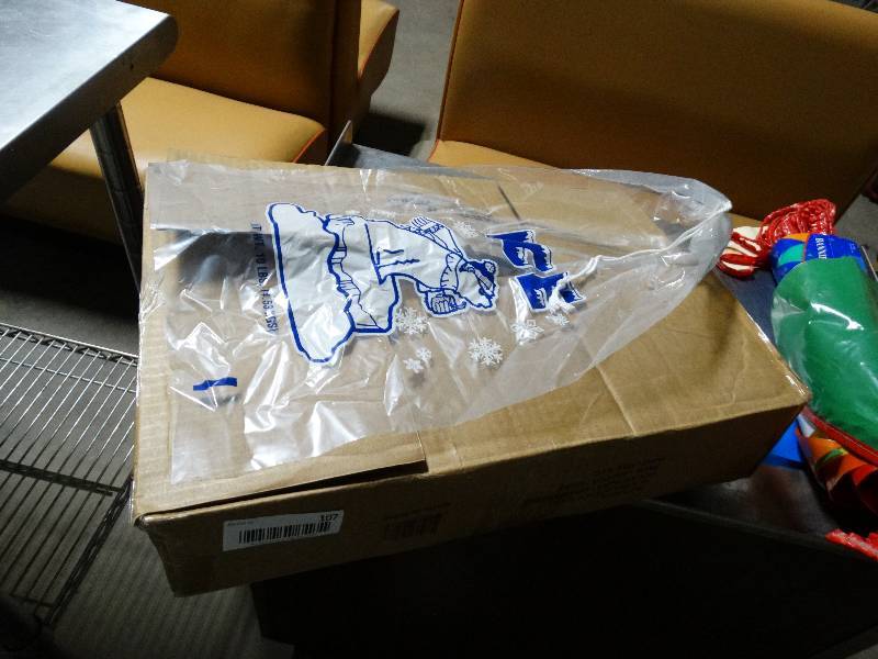 lot 107 image: Case of 10 lb ice bags
