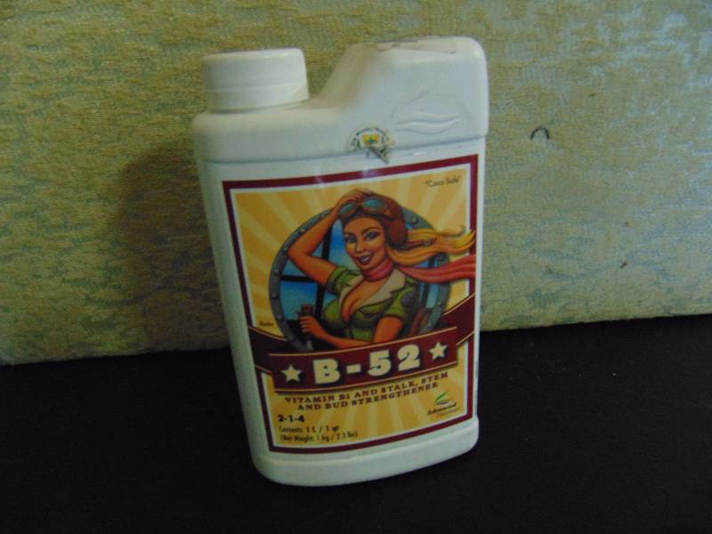 lot 4240 image: (1) liter B-52 Vitamin B1 Stalk, Stem and Bud Strengthener for plants $25.00 value