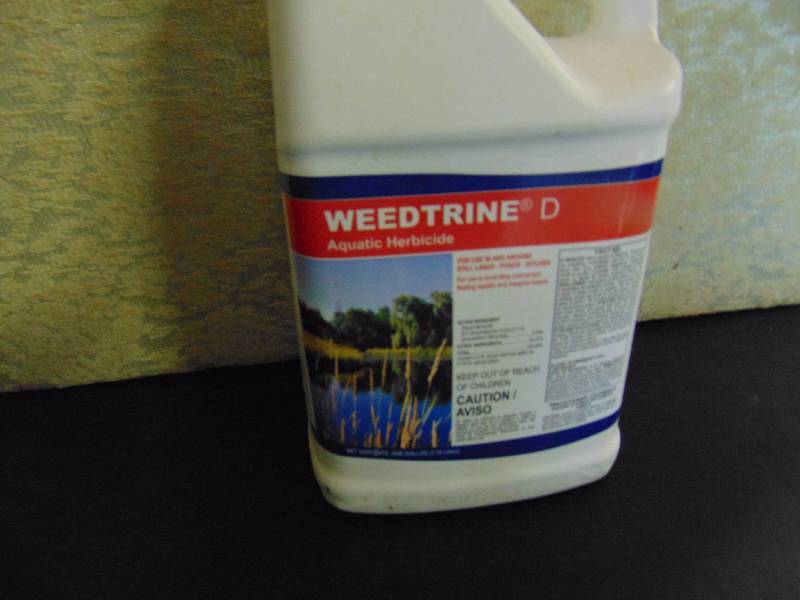 lot 4242 image: (1) gallon Weedtrine D Aquatic Herbicide for use around still lakes, ponds ditches, $50.00 value