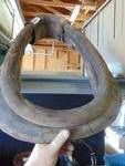 lot 4201 image: Leather Horse Mule Collar, used but in good condition--great decor piece