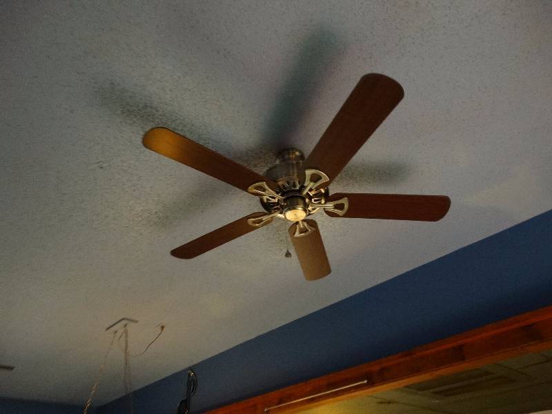 lot 586 image: Nice ceiling fan