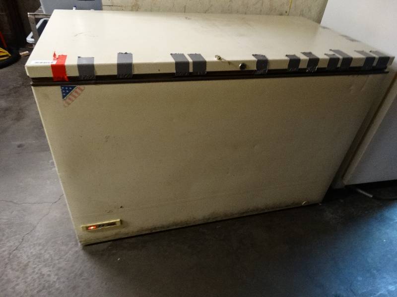 lot 709 image: 18 cubic ft. Chest Freezer - works good.