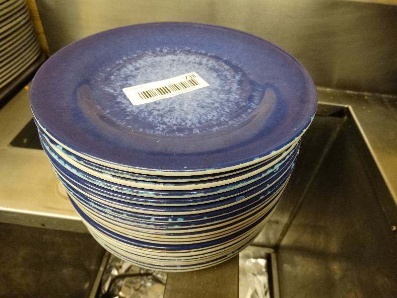 lot 738 image: 21 round plastic dinner plates.