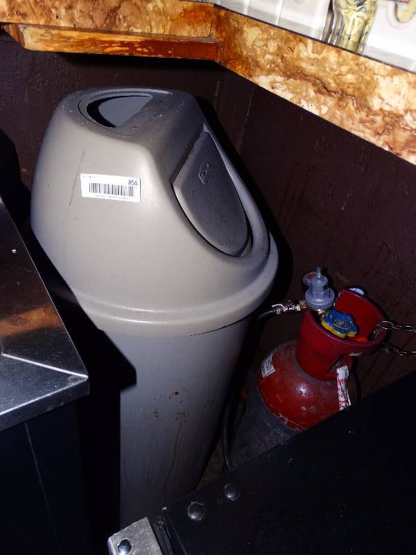 lot 856 image: 4 Trash cans.