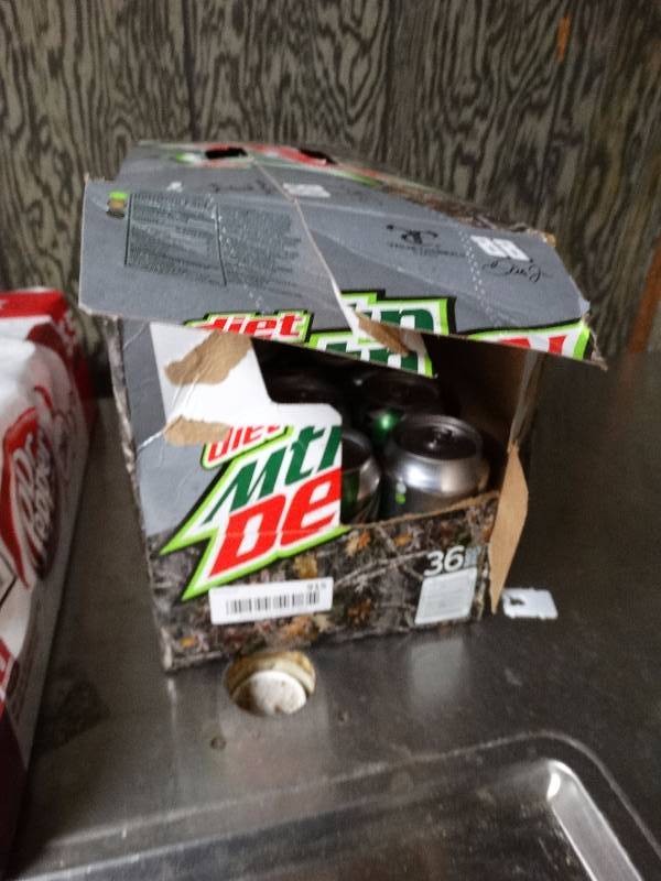 lot 915 image: 20 cans of Diet Mt Dew