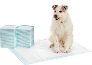 lot 61027 image: Amazon Basics Dog and Puppy Pee Pads with Leak-Proof Quick-Dry Design for Potty Training, Heavy Duty Absorbency, X-Large, 28 x 34 Inches, Pack of 50, Blue & White