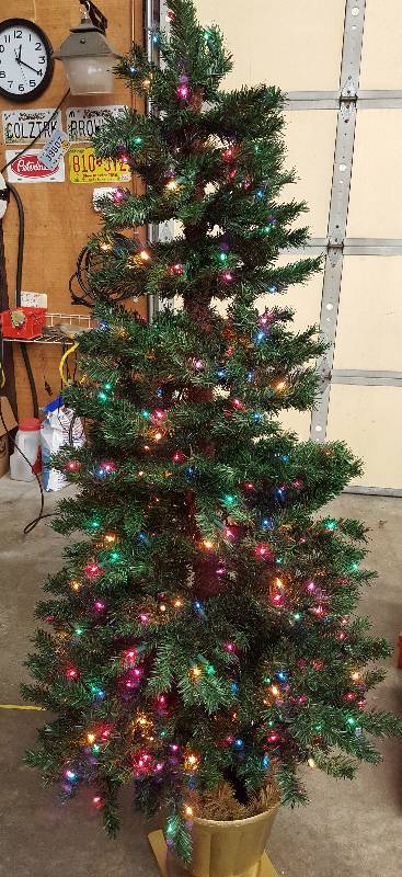 lot 5960 image: Multi colored pre-lit 5.5 Spruce Tree in a Gold Planter.  Perfect for entry way or just a small area