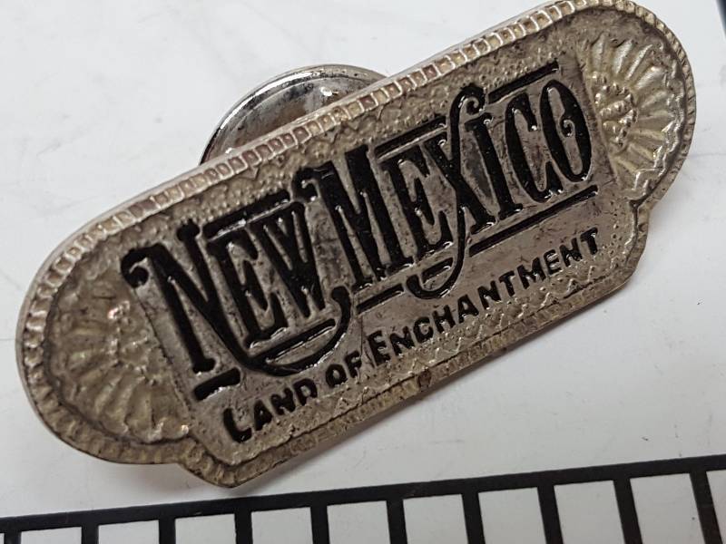 lot 8732 image: Another one of those collectable hat or lapel pins most are finished with wild porcelain colors.