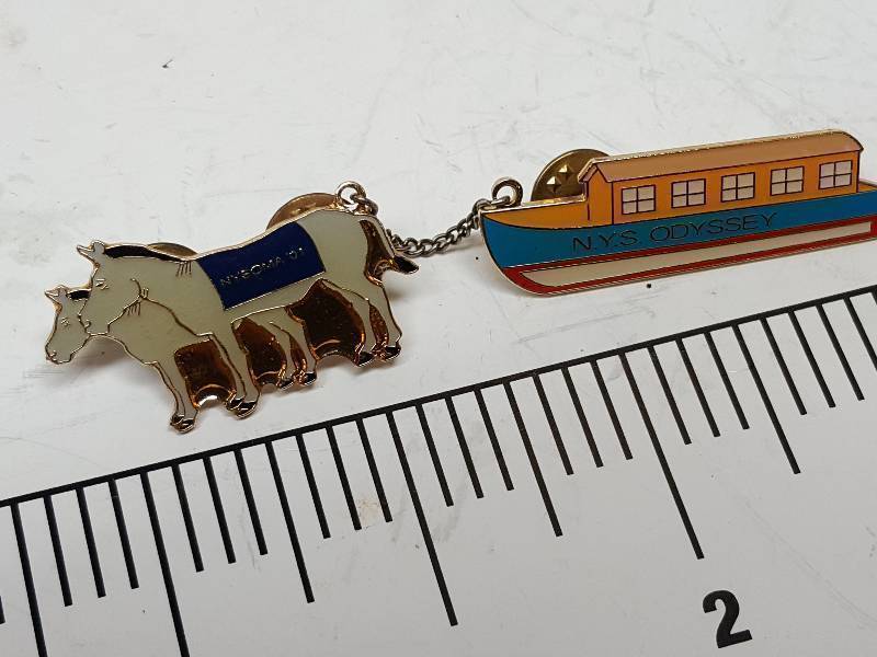 lot 8737 image: Another one of those collectable hat or lapel pins most are finished with wild porcelain colors.