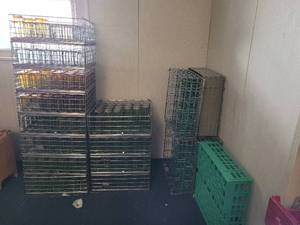 lot 41109 image: 15 Metal Glass Racks - Sani Stack