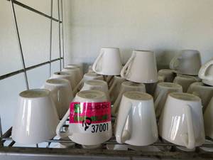 lot 37001 image: (20) Syracuse Coffee Mugs