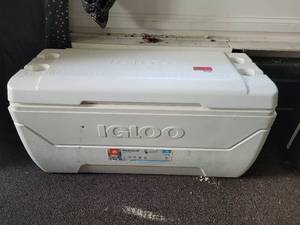 lot 37167 image: Igloo Cooler