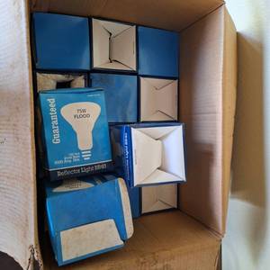 lot 37340 image: Lightbulbs Lot