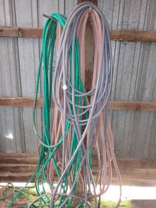 lot 27055 image: (4) Commercial Hoses - Different Sizes