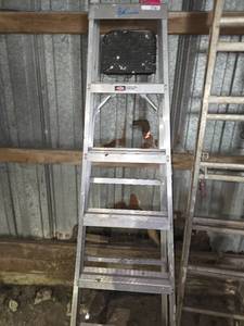 lot 27061 image: Louisville 8ft Aluminum Ladder