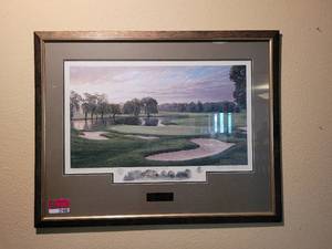 lot 37408 image: Oakhill Country Club 16th Hole 69850 Limited Edition Framed Picture