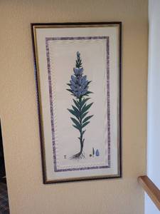 lot 37409 image: Dan Mitrea 477750