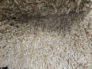 lot 37438 image: 9 X 11 Dalyn Rug