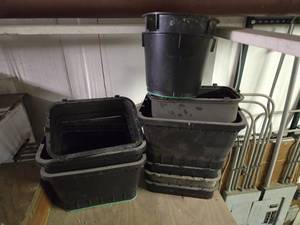 lot 33043 image: Black Totes - No Lids