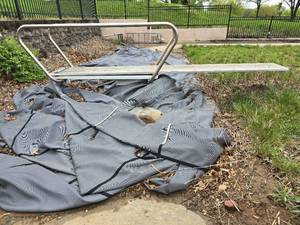 lot 46519 image: Diving Board And Pool Cover