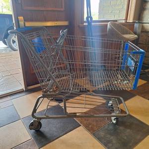 lot 27129 image: Shopping Cart