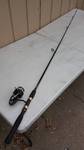 Fishing Rod and Reel Protouch LFPTSP and Garcia Mitchell 300 Reel