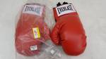 1 Pair of New Everlast Boxing Gloves