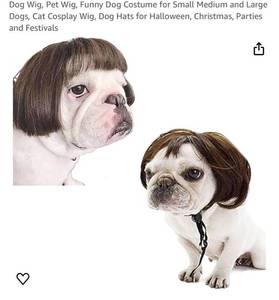 lot 1396 image: 5 pk Dog Wig, Pet Wig, Funny Dog Costume for Small Medium and Large Dogs, Cat Cosplay Wig, Dog Hats for Halloween, Christmas, Parties and Festivals