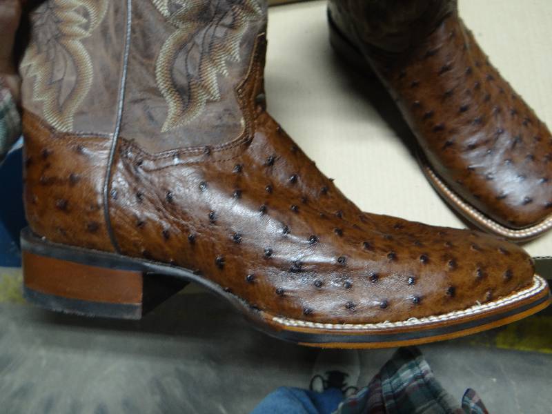 Dan post outlet alamosa ostrich boots