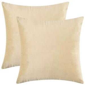 lot 60279 image: Artcest Set of 2, Cozy Solid Velvet Throw Pillow Case, Decorative Couch Cushion Cover, Soft Sofa Euro Sham with Zipper Hidden, 18x18 (Cream)
