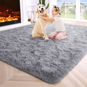 lot 60314 image: Noahas Fluffy Grey Rugs for Bedroom,4x6 Shaggy Fuzzy Bedroom Rug Carpet,Soft Rug for Kids Room,Thick Area Rugs for Living Room,Plush Nursery Rug for Baby,Cute Room Decor for Girls Boys