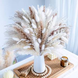 lot 60600 image: 96PCS Natural Dried Pampas Grass Boho Home Decor Bouquet Phragmites Dried Flowers Bouquet for Wedding Floral Arrangements Home Decorations (96PCS)