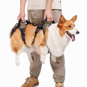 lot 62230 image: Coodeo Dog Lift Harness, Full Body Support & Recovery Sling, Pet Rear Leg Support Rehabilitation Lifts Vest, Dog Carrier for Senior Dogs with Joint Injuries, Arthritis, Paralysis Up Stairs (Medium) - Retail $80.08