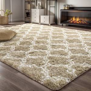 lot 62640 image: 6X9 Soft Area Rug for Bedroom Living Room Furry Big Plush Fuzzy Rugs Luxury Fluffy Rug for Girls Boys Kids Room Shaggy Carpet (6X9 Feet, BeigeWhite)