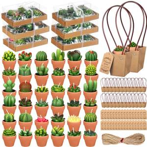 lot 63204 image: Retisee 36 Pack Succulent Cactus Candles Gift Set for Wedding Cactus Tealight Candles with Terracotta Pot 36 Pcs Thank You Succulents Wraps Bags 36 Pcs Thank You Card Tags Baby Shower Party Favor
