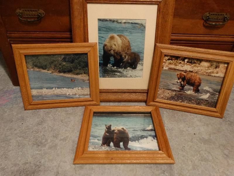 lot 443 image: 4 framed nature prints