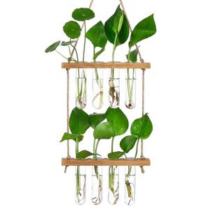 lot 30699 image: YIBOT Plants Propagation Stations 5 Glass Test Tubes Plant Terrarium with Wooden Stand for Propagating Hydroponic Plants Home Office Decor Plant Lover Gifts