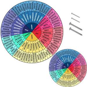 lot 30803 image: 2 Pack Feelings Wheel Aluminum Round Metal Mood Wheel Therapy Emotions, Mental Health Color Wheel Social Work Feelings Poster Sign for Office School Decor,12 Inch 6 Inch (Bright Colors)