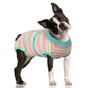 lot 31014 image: FUAMEY Recovery Suit for Dogs After Surgery,Soft Breathable Dog Bodysuit E-Collar & Cone Alternative Surgical Suit,Male Female Dog Neuter Spay Suits Anti Licking Wounds Onesie Mint Green Stripes L