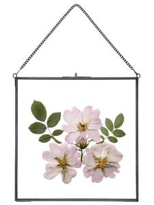 lot 31063 image: REDHUGO Glass Pressed Flower Frames,Vintage Hanging Picture Frames with Chain,Handmade Brass Floating Picture Frame,Plant Specimen Wall Ornament Display DIY Family Photo,Square,Black,10x10 Inches