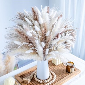 lot 31123 image: 96PCS Natural Dried Pampas Grass Boho Home Decor Bouquet Phragmites Dried Flowers Bouquet for Wedding Floral Arrangements Home Decorations (96PCS)