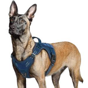 lot 31140 image: rabbitgoo Dog Harness No Pull, Military Dog Harness for Large Dogs with Handle & Molle, Easy Control Service Dog Vest Harness Training Walking, Adjustable Reflective Tactical Pet Harness, Blue, L